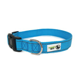 Nylon w/Reflective Stitching Dog Collar Medium Light Blue - Moondidley Pets - Front View