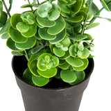 Potted Artificial Eucalyptus Plant 27cm - Front View