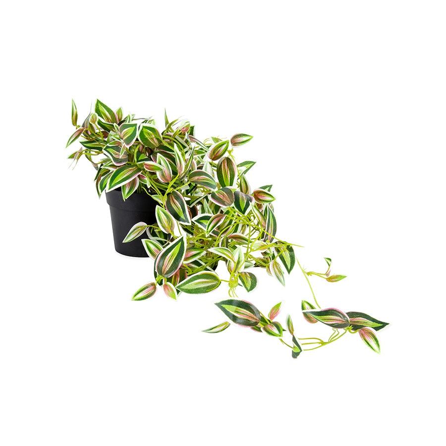 Potted Hanging Artificial Verigated Weeper 72cm