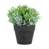 Potted Artificial Finger Grass 18cm - Front View