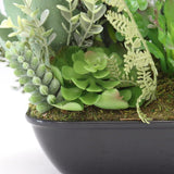 Set 2 Asst Potted Artificial Succulents 19cm - Front View