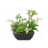 Set 2 Asst Potted Artificial Succulents 19cm - Side View