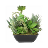 Set 2 Asst Potted Artificial Succulents 19cm - Top-Down View