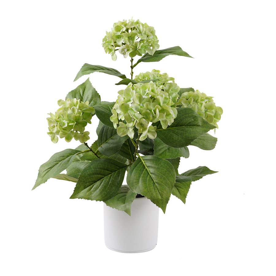 Potted Artificial Green Hydrangea 50cm