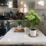 Potted Artificial Green Hydrangea 50cm - Front View