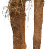 Large Tropical Palm Tree (Amazingly Real) 300cm - Top-Down View