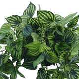Bright Mixed Philodendron Garland Bush 100cm - Top-Down View