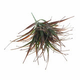 Artificial Brown Tipped Grass Plant UV Resistant 35cm - Top-Down View
