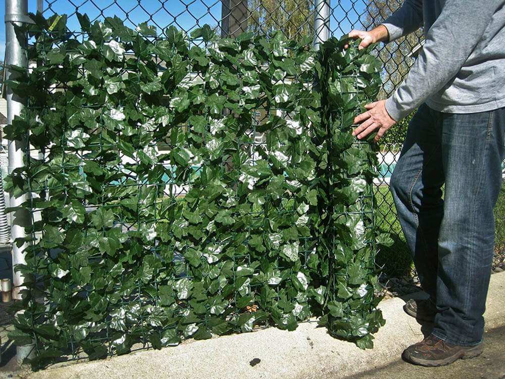 Double Sided Ivy Rolls 3m X 1m