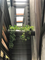 Dense Trailing Greenery UV Resistant 90cm - Top-Down View