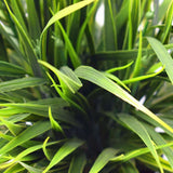 Artificial Ornamental Potted Dense Green Grass UV Resistant 38cm - Side View