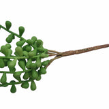 Hanging Succulent String Of Pearl Beads 75cm - Top-Down View