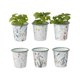 Set 6 Assorted Spring Colour Planters 9cm