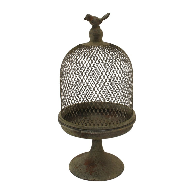 Antique Finish Cloche w Bird 39cm