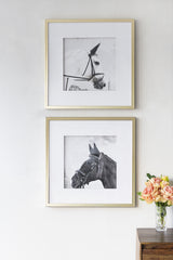 Set 2 Horse Framed Prints 56cm - Front View