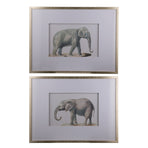 Set 2 Elephant Framed Prints 80cm