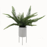 Wyatt Artificial Boston Fern in Ceramic Pot w Stand 56cm - Front View