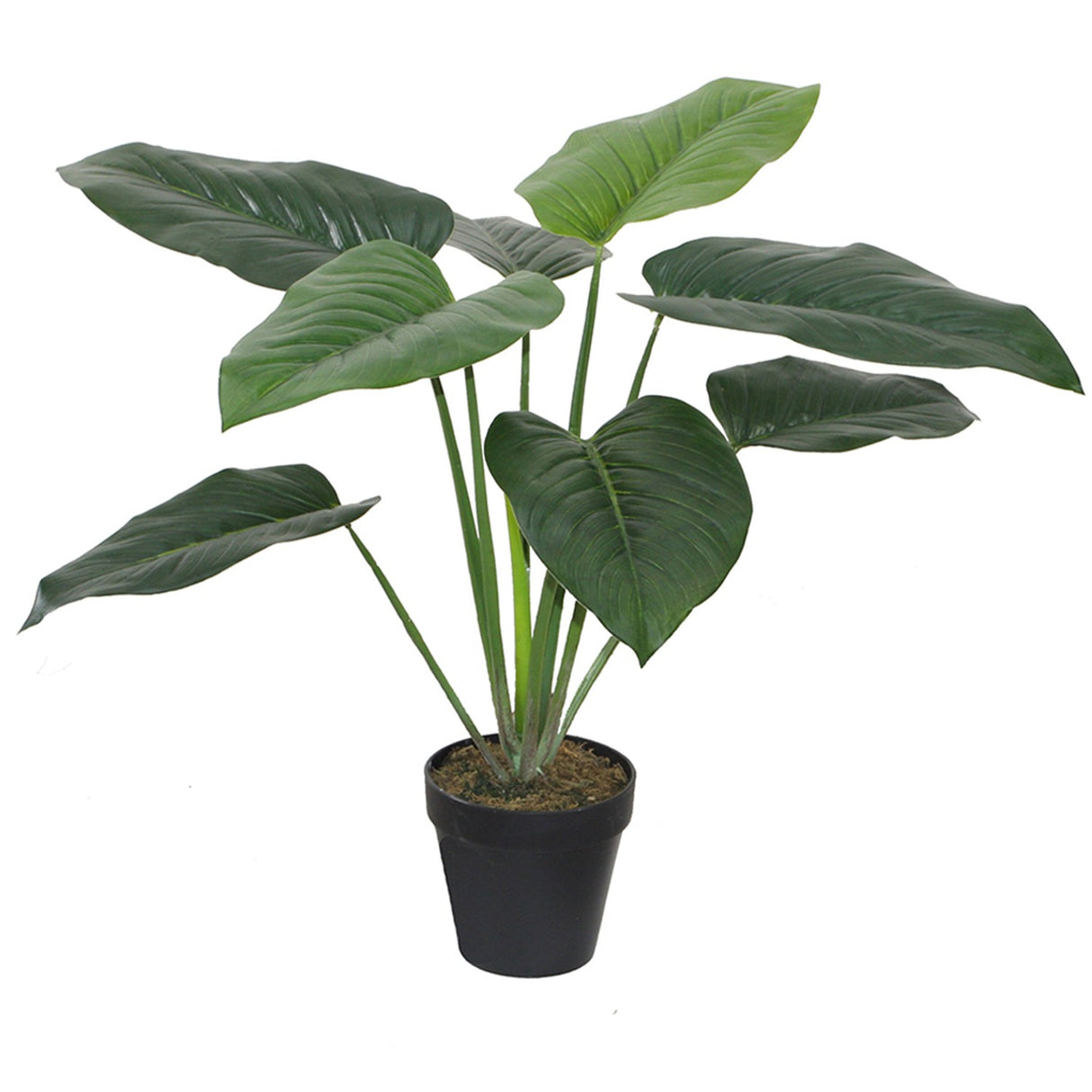 Artificial  Philodendron In Plastic Pot 30x60cm