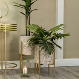 Artificial Janet Craig Dracaena in Pot 70cm - Side View