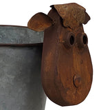 Rusty Sheep Planter W Galv Pot 31x34cm - Top-Down View