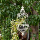 Martinique Classic Hanging Planter 20x62cm - Top-Down View