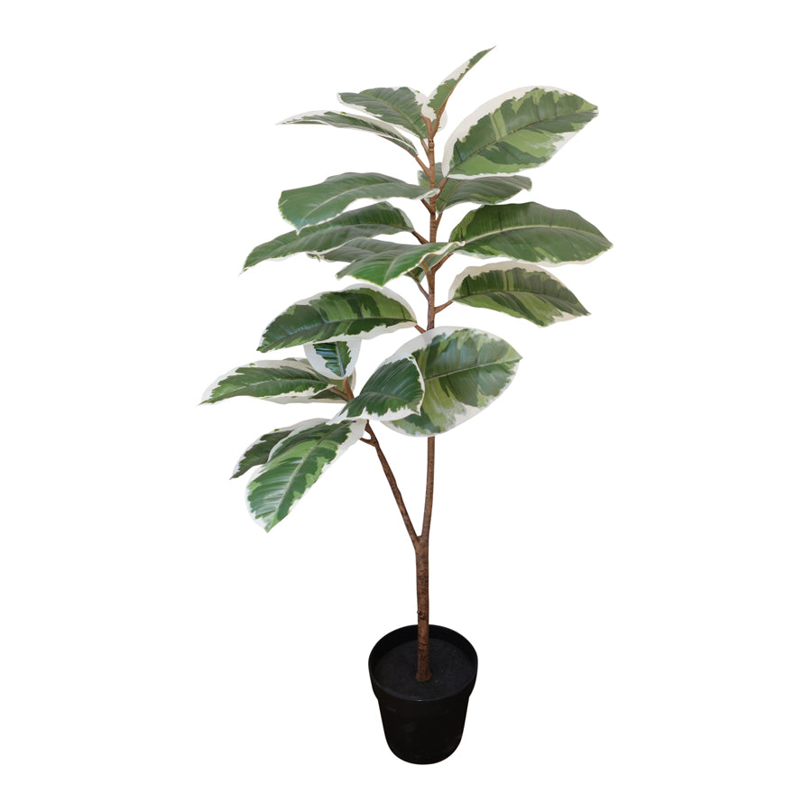 Potted Artificial Variegated Rubber Leaf Tree 118cm