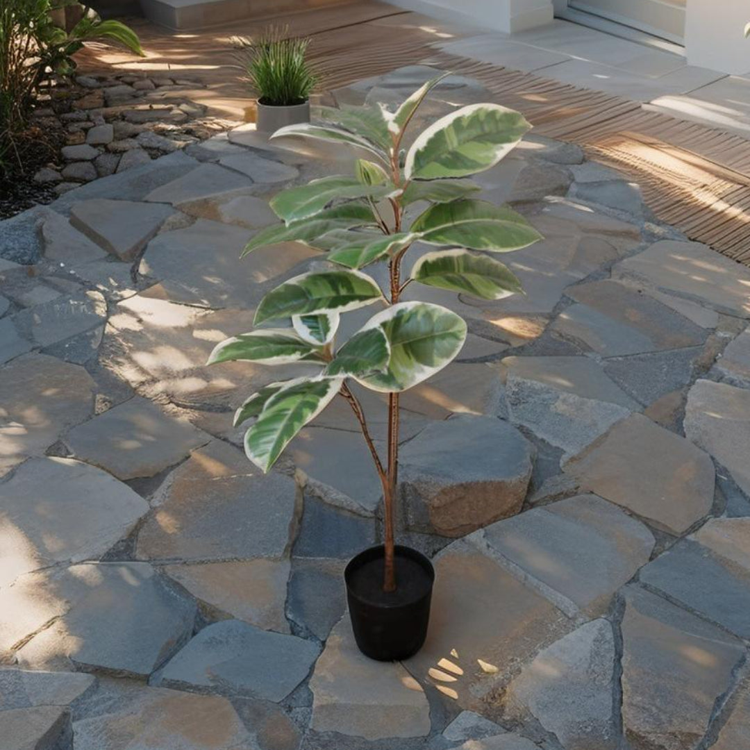 Potted Artificial Variegated Rubber Leaf Tree 118cm