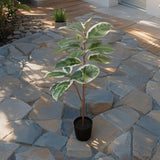 Potted Artificial Variegated Rubber Leaf Tree 118cm - Front View