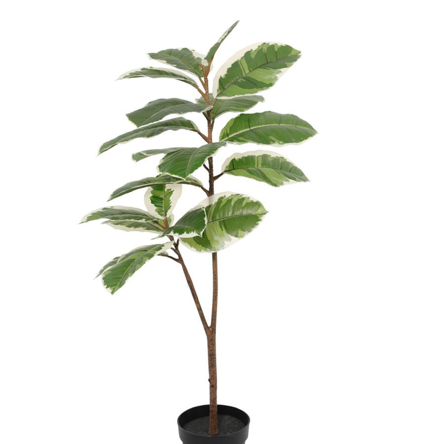 Potted Artificial Variegated Rubber Leaf Tree 118cm