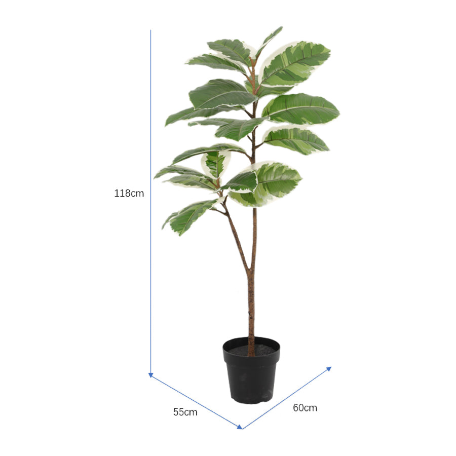 Potted Artificial Variegated Rubber Leaf Tree 118cm