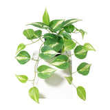 Potted Artificial Hanging Variegated Pothos 42cm - Side View