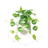 Potted Artificial Hanging Variegated Pothos 42cm - 45-Degree Angle