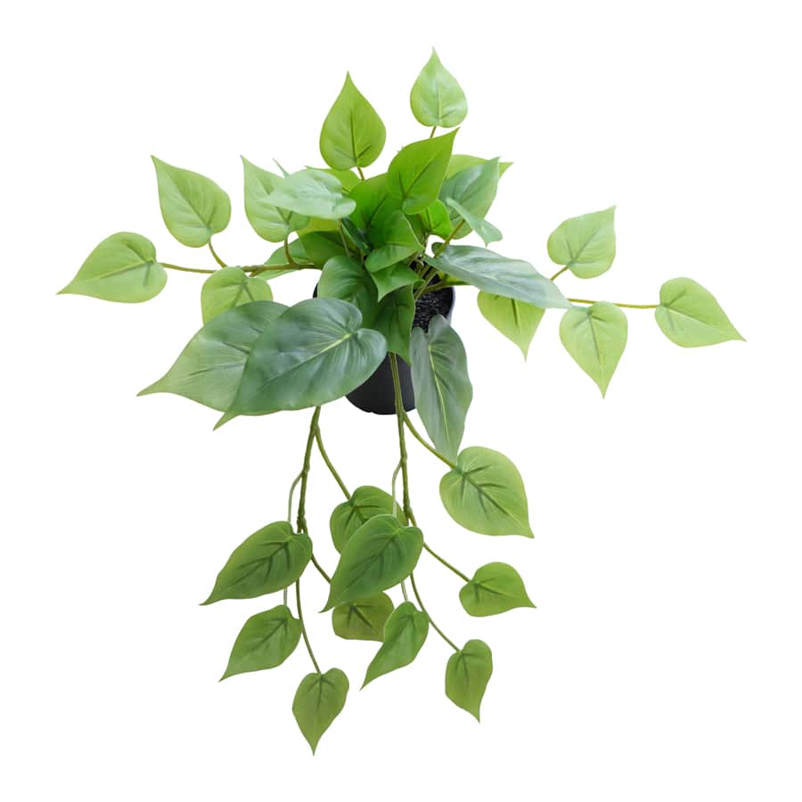 Potted Artificial Hanging Pothos 38cm