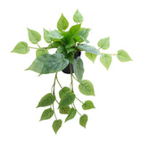 Potted Artificial Hanging Pothos 38cm