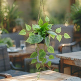 Potted Artificial Hanging Pothos 38cm - Front View