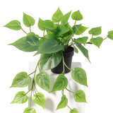 Potted Artificial Hanging Pothos 38cm - Top-Down View