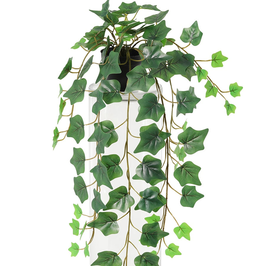 Potted Artificial Hanging Ivy 70cm