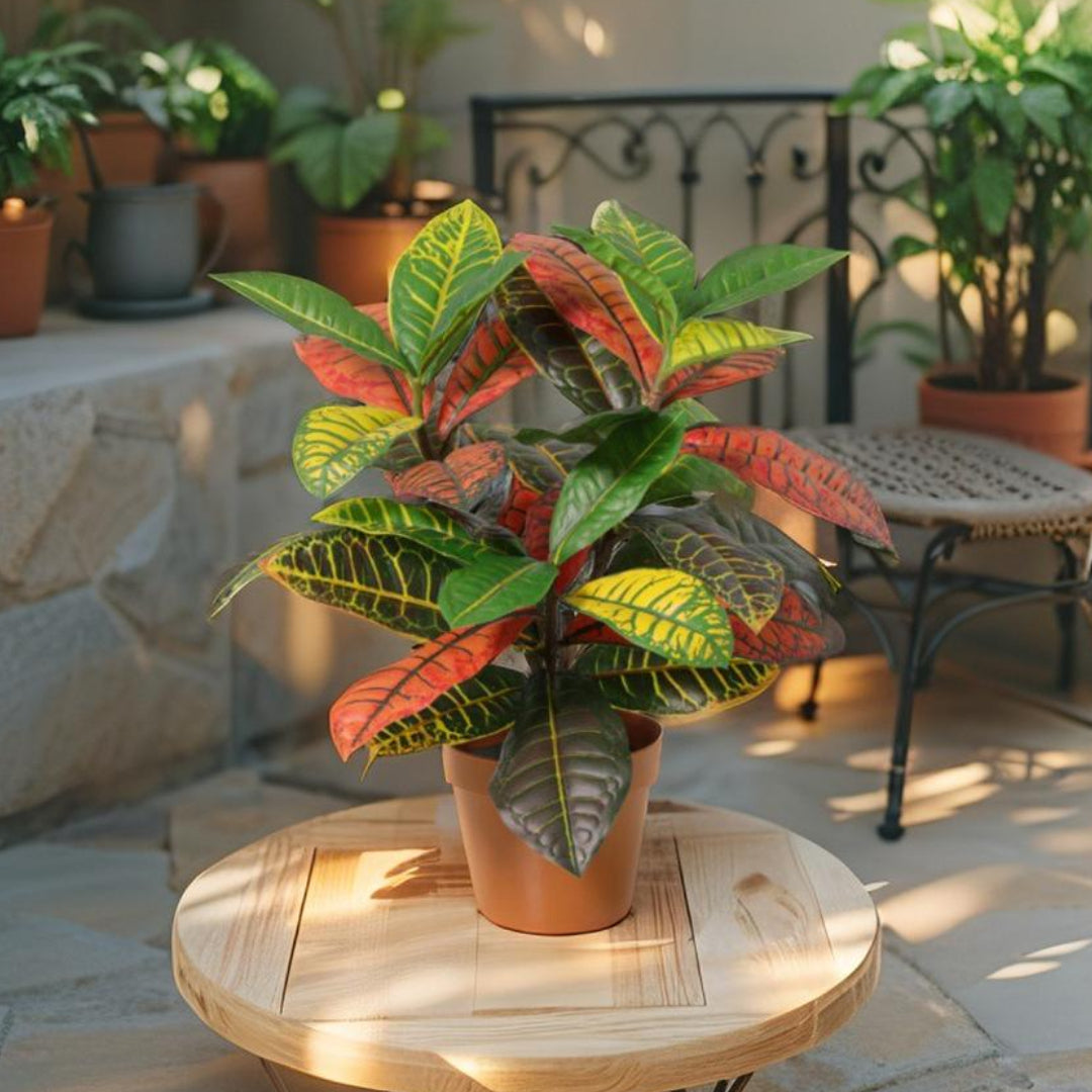 Potted Artificial Calathea 38cm