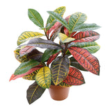 Potted Artificial Calathea 38cm - Side View