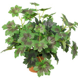 Potted Artificial Grape Leaf Plant 33cm