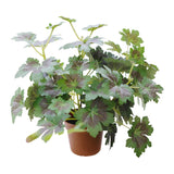 Potted Artificial Grape Leaf Plant 33cm - Side View