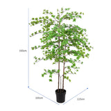 Potted Artificial Enkanthus Shrub 193cm - Top-Down View