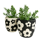 Set 2 Assorted Monochrome Flower Planters w Hole + Plug 17cm