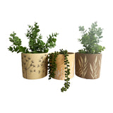 Set 3 Asst Flowergrass Design Planters w Hole + Plug 17cm - Front View