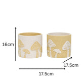Set 2 Asst Mushroom Planters w Hole + Plug 17cm - 45-Degree Angle