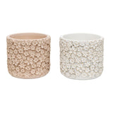 Set 2 Asst Flower Embossed Planters w Hole + Plug 18cm - Front View