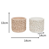 Set 2 Asst Flower Embossed Planters w Hole + Plug 18cm - Top-Down View