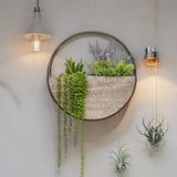 Timber Elemental Wall Planter 50cm - Front View