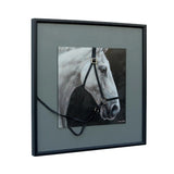 Horse w 3D Bridle Framed Canvas Wall Art 60cm - Side View