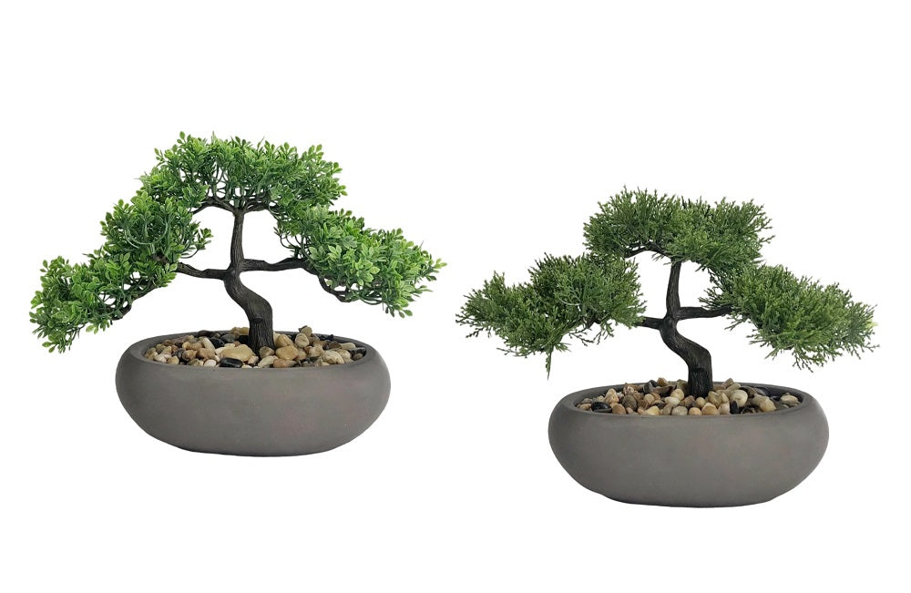 Set 2 Artificial Bonsai in Ceramic Pot Assort 30cm